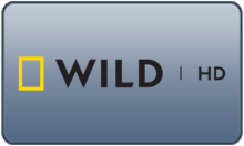 RUS - NAT GEO WILD UHD 4KOTT