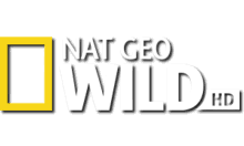 FR - NAT GEO WILD 4KOTT