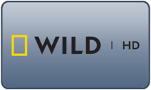 ES - NG WILD HD 4KOTT