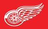 NHL DETROIT RED WINGS 4KOTT