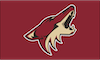 NHL ARIZONA COYOTES 4KOTT