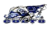 NFL CBS COLTS FORT WAYNE IN 4KOTT