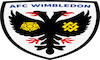 UK - EFL : AFC WIMBLEDON FC 4KOTT