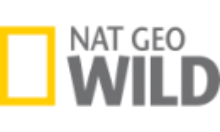 DE - NAT GEO WILD HD 4KOTT