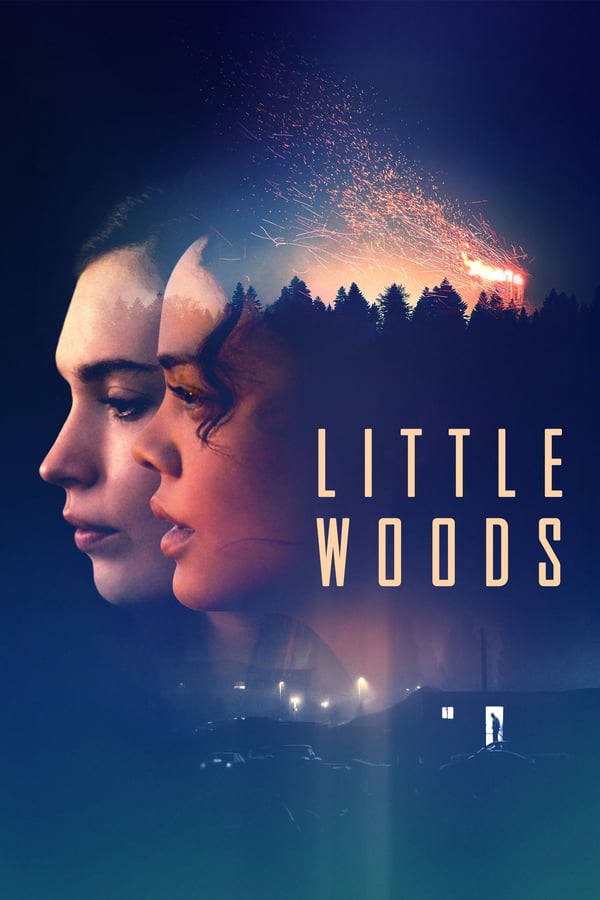 AR - Little Woods  () 4KOTT