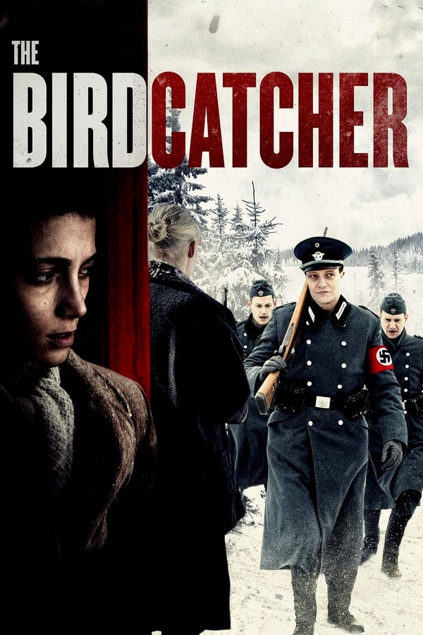 AR - The Birdcatcher  () 4KOTT