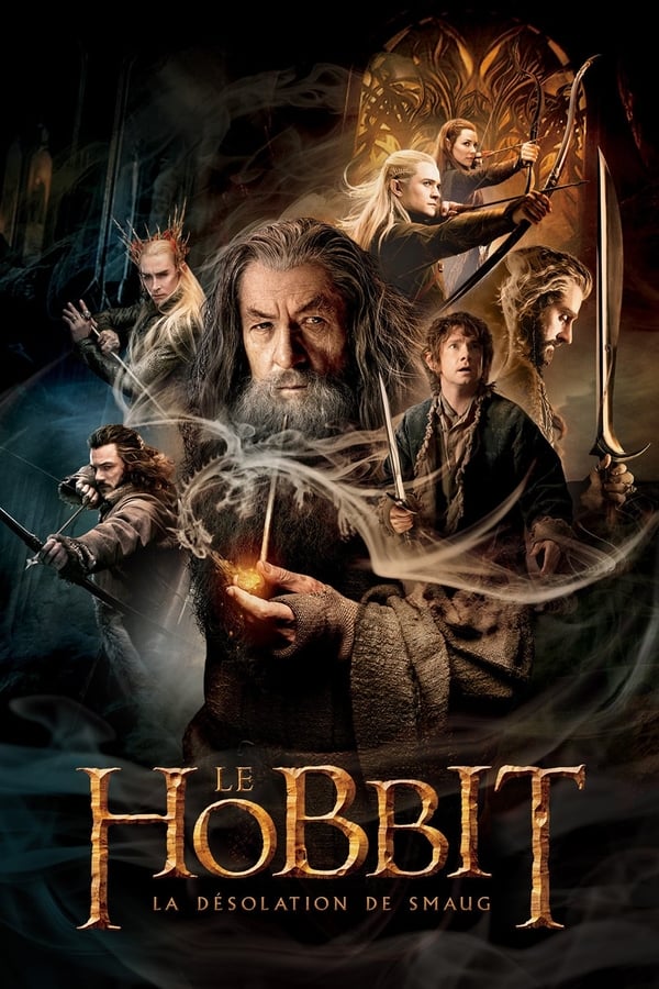 FR - The Hobbit: The Desolation of Smaug () 4KOTT