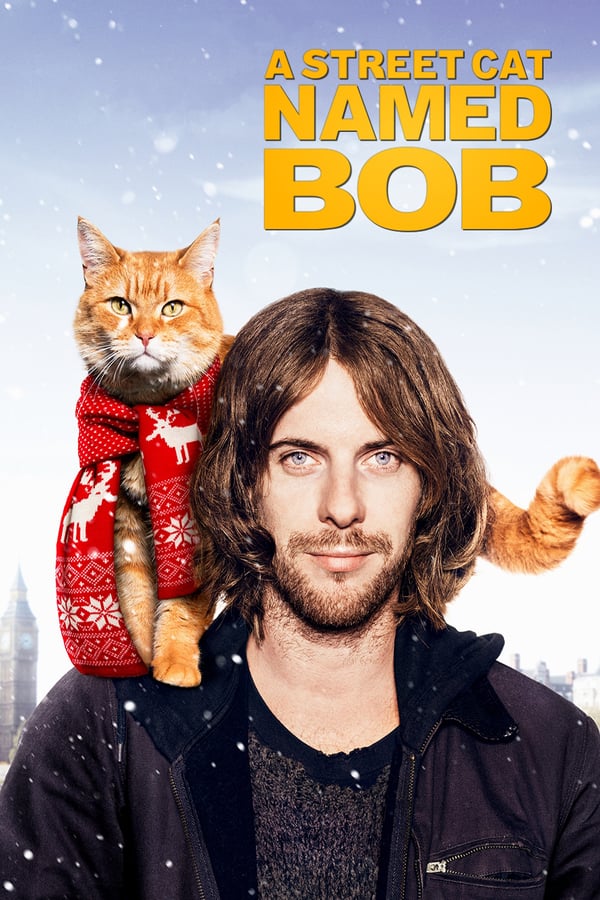 NF - A Street Cat Named Bob  () 4KOTT