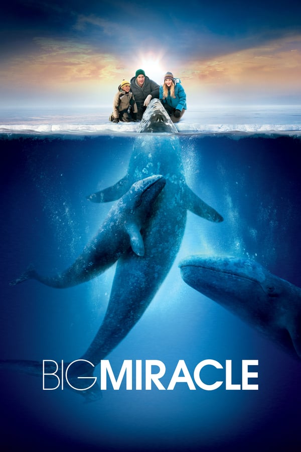 NF - Big Miracle  () 4KOTT