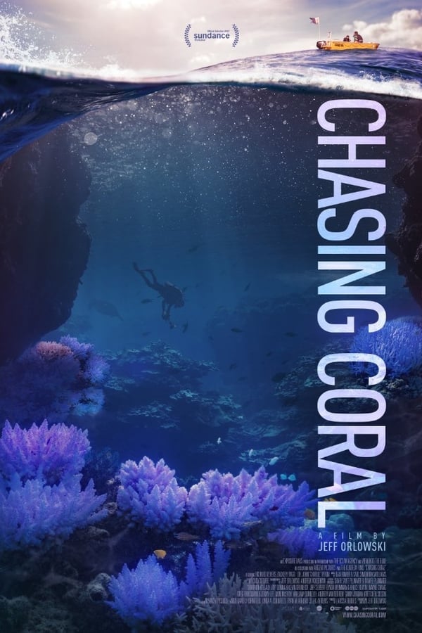 NF - Chasing Coral  () 4KOTT