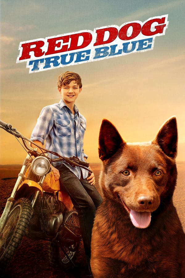 NF - Red Dog: True Blue  () 4KOTT