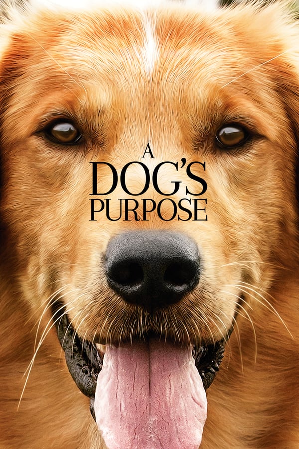 EN - A Dog's Purpose  () 4KOTT