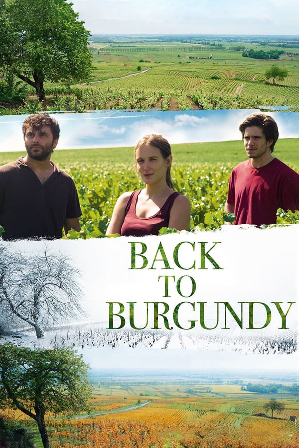 EN - Back to Burgundy  () 4KOTT