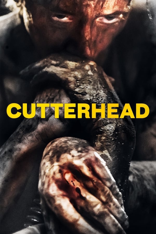 EN - Cutterhead  () 4KOTT