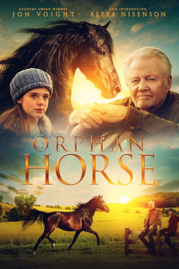 EN - Orphan Horse  () 4KOTT