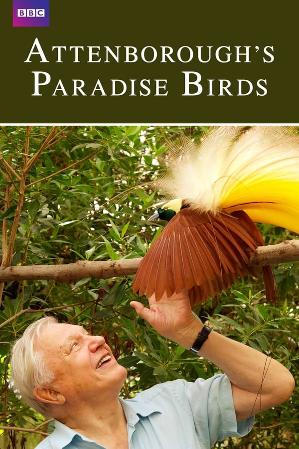 EN - Attenborough's Paradise Birds  () 4KOTT