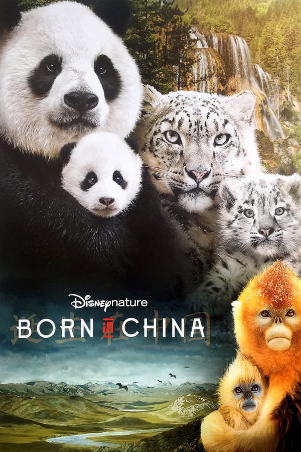 EN - Born in China  () 4KOTT