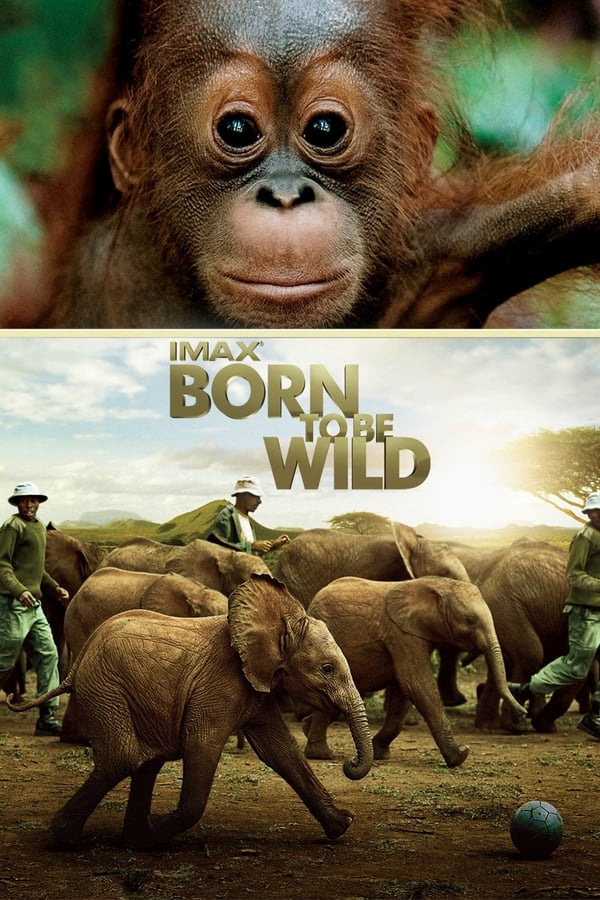 EN - Born to Be Wild  () 4KOTT