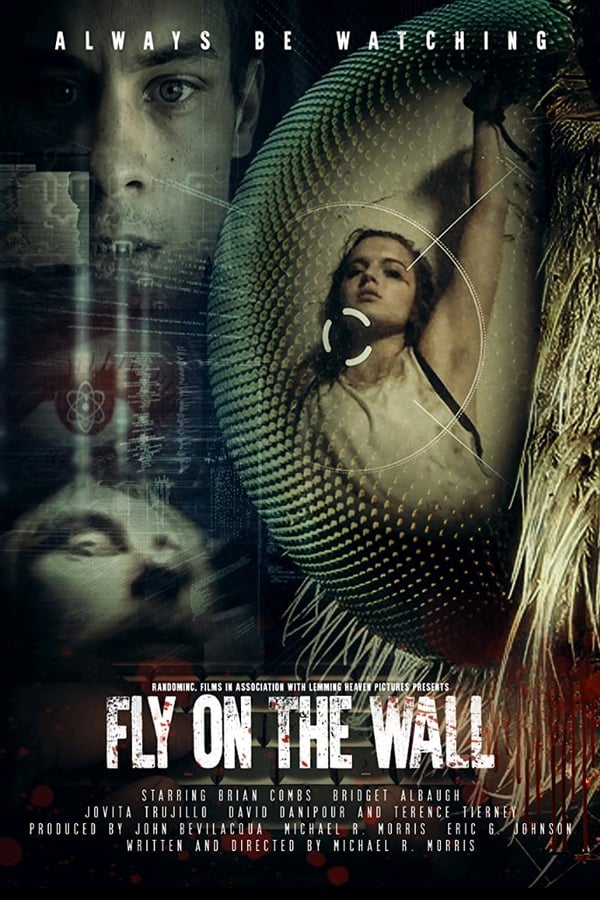 EN - Fly on the Wall  () 4KOTT