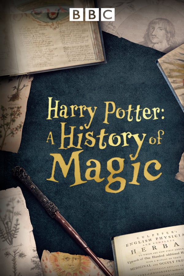 EN - Harry Potter: A History Of Magic  () 4KOTT