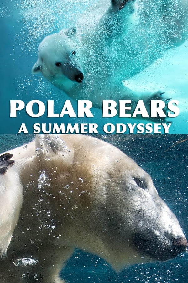 EN - Polar Bears: A Summer Odyssey  () 4KOTT