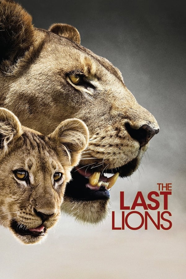 EN - The Last Lions  () 4KOTT