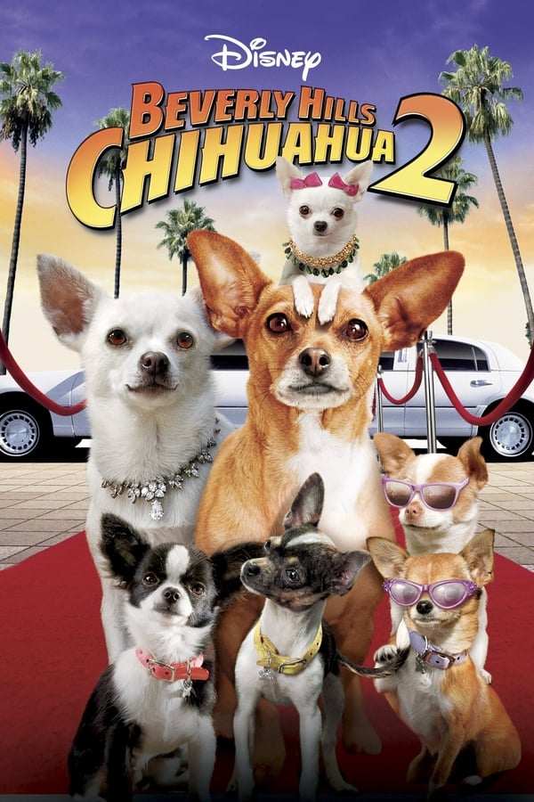 EN - Beverly Hills Chihuahua   () 4KOTT