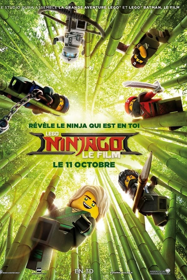 FR - Lego Ninjago, le film  () 4KOTT