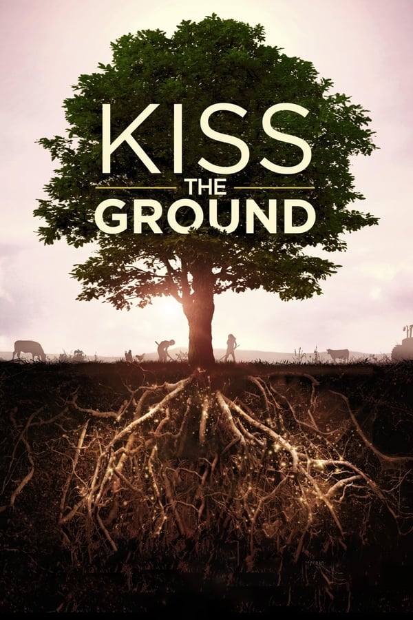 AR - Kiss the Ground  () 4KOTT