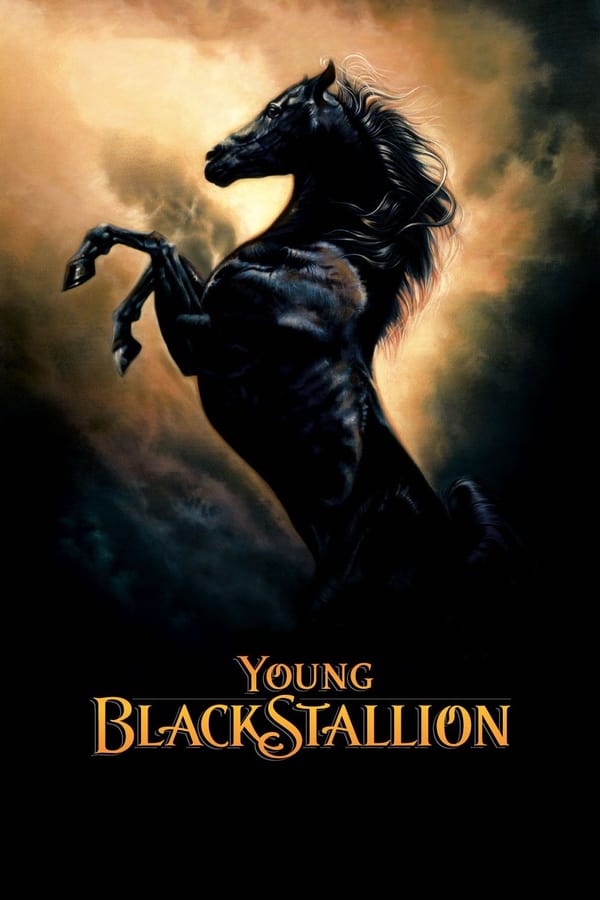 FR - Young Black Stallion  () 4KOTT