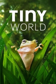 EN - Tiny World () 4KOTT