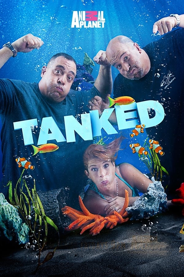 EN - Tanked 4KOTT