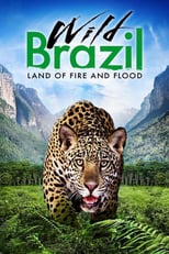 EN - Wild Brazil 4KOTT