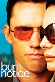 EN - Burn Notice ( ) 4KOTT