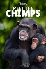 D+ - Meet the Chimps (US) 4KOTT