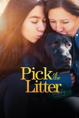 D+ - Pick of the Litter (US) 4KOTT