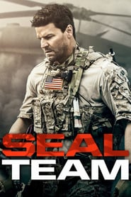 FR - SEAL Team 4KOTT